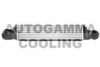 AUTOGAMMA 103730 Intercooler, charger